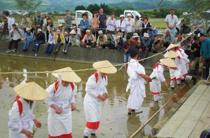 井伊谷宮お田植祭