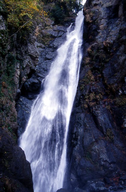 スポットの写真