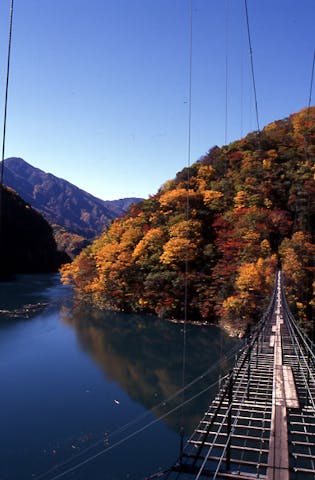 林道井川雨畑線山伏周辺の紅葉