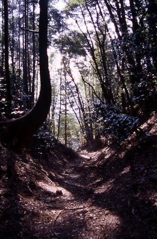 宇津ノ谷峠の旧東海道