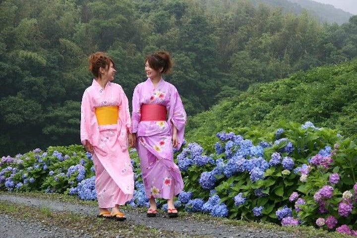 伊平川堤のアジサイ