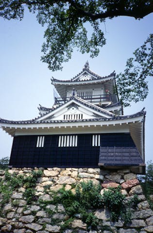 浜松城天守閣