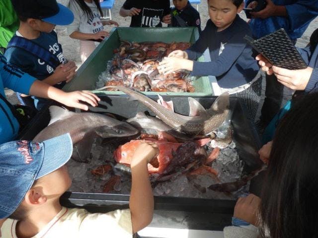 第17回戸田さんさんまつり【2021年の開催は検討中】