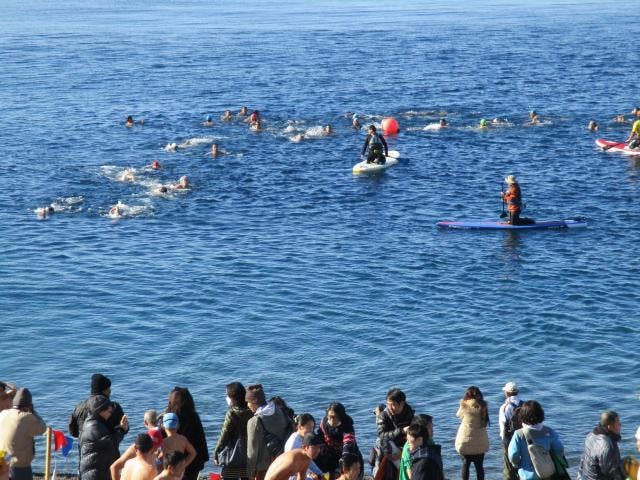 第43回千本浜元旦水泳大会