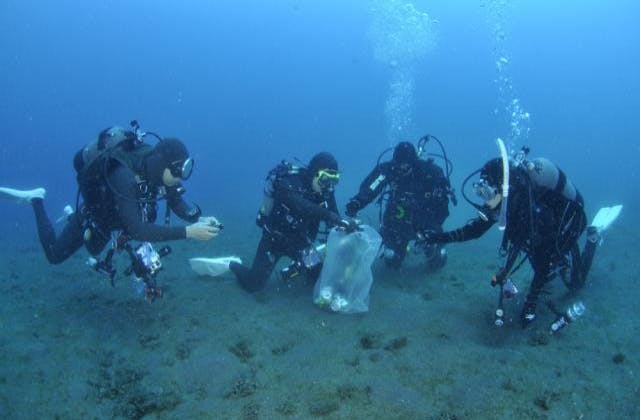 スポットの写真