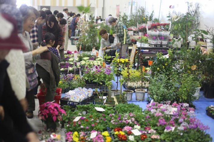 春のみどりまつり【開催日程未定】