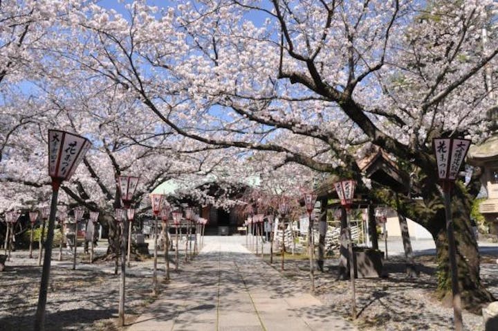 日枝神社花まつり