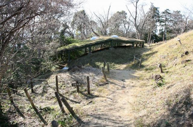 スポットの写真