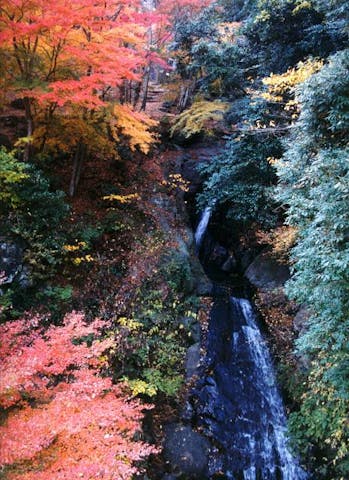はかま滝オートキャンプ場