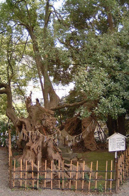 スポットの写真