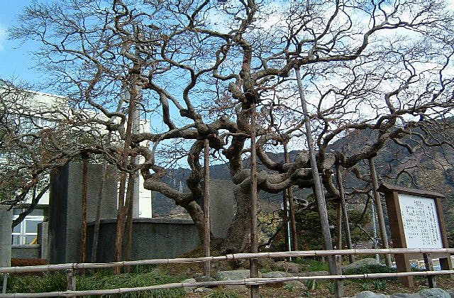 スポットの写真