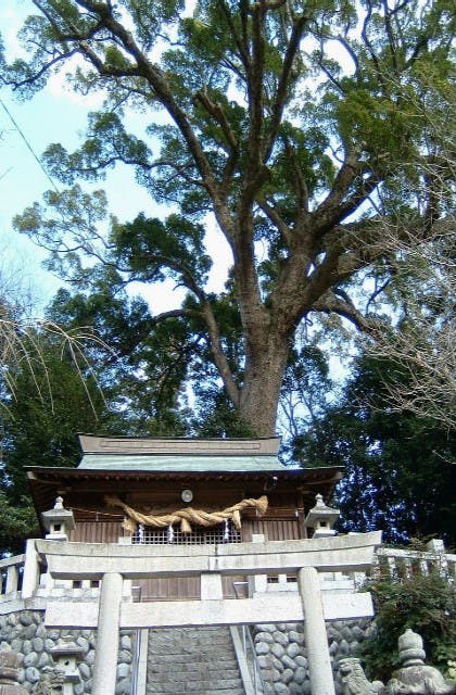 スポットの写真