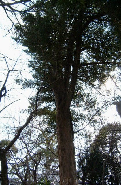 スポットの写真