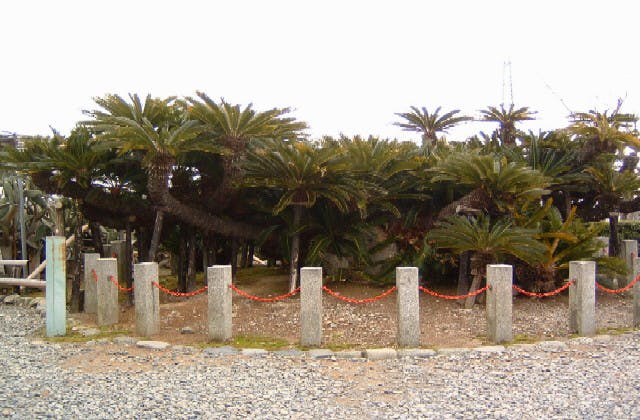 スポットの写真