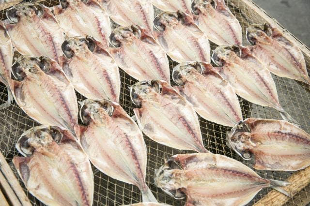 スポットの写真