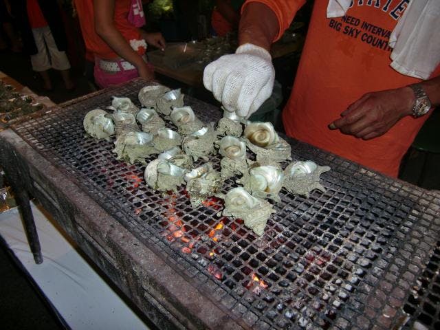 スポットの写真