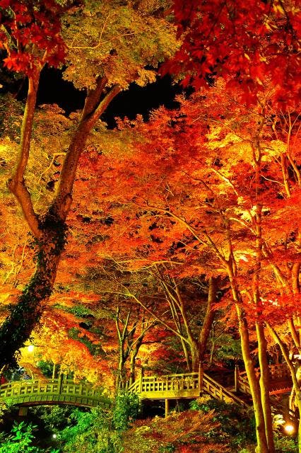 スポットの写真