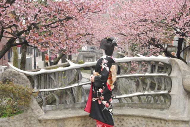 スポットの写真