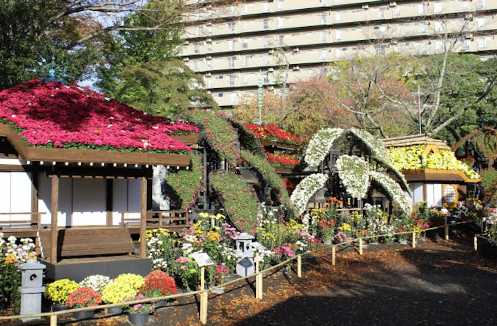 第68回　楽寿園　菊まつり