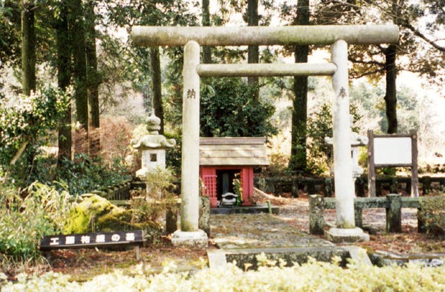 スポットの写真