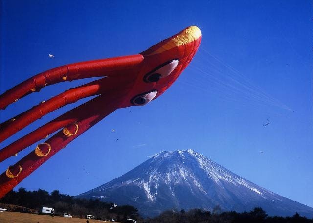 スポットの写真