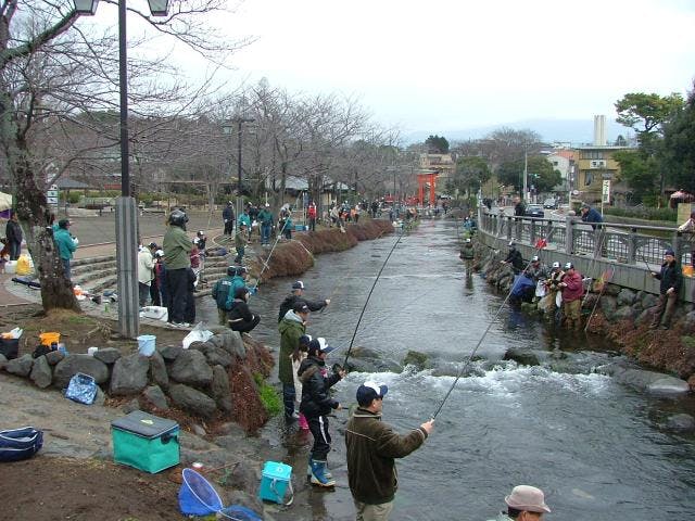 スポットの写真