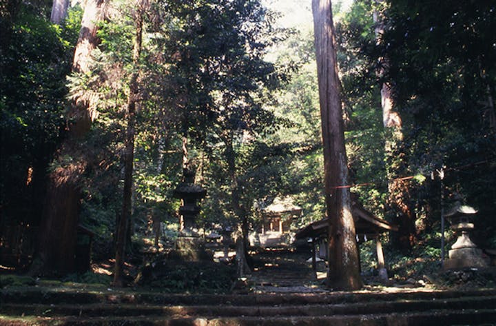 八幡宮来宮神社