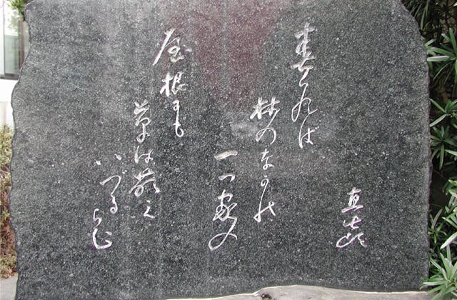 スポットの写真