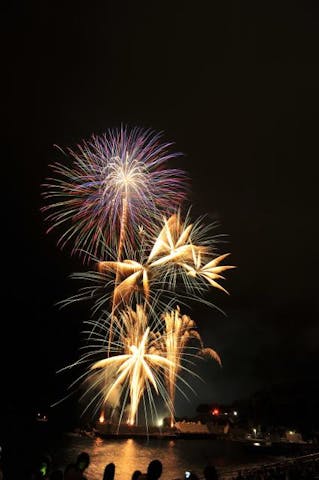やんもの里花火大会【令和3年度中止】