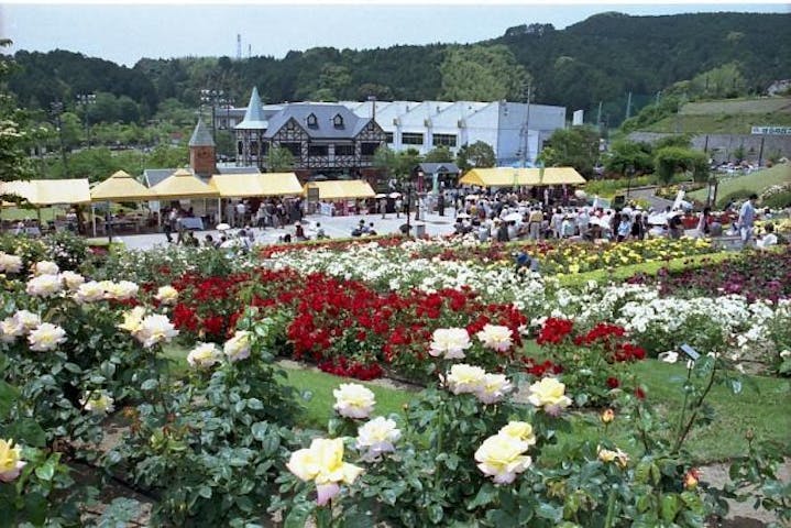 島田市ばらの丘公園