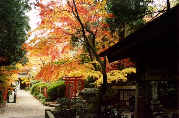 油山寺の紅葉