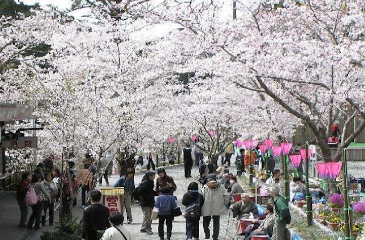 法多山さくらまつり