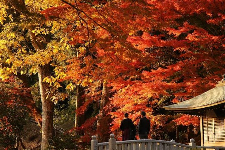 法多山もみじまつり