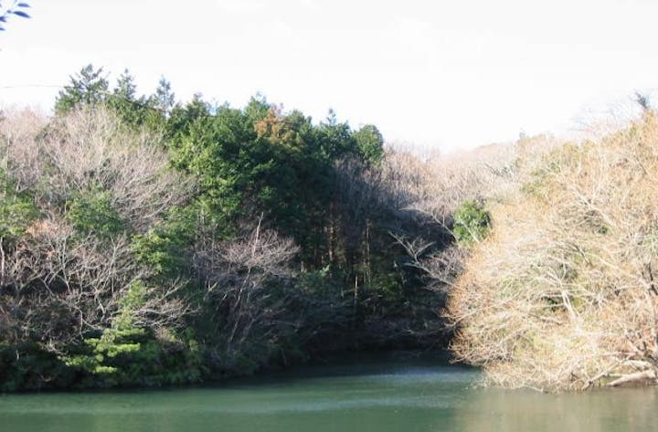 千鳥ケ谷池