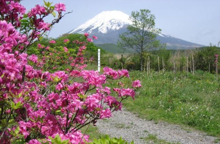富士山遊歩道