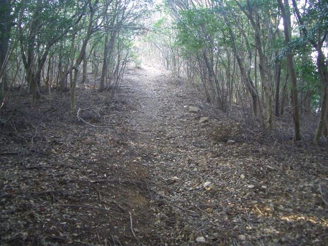 湖西連峰ハイキングコース