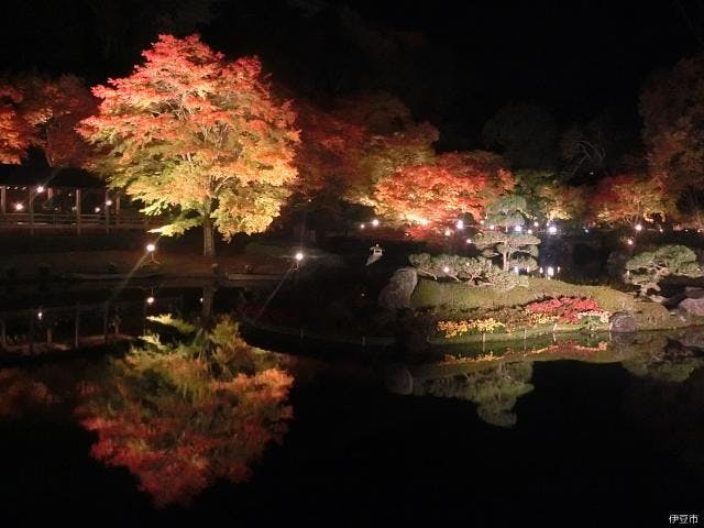 修善寺虹の郷　紅葉ライトアップ