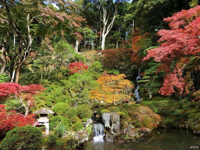 【2020年中止】〜東海第一園〜修禅寺庭園「秋の特別公開」