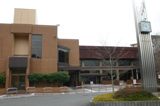 スポットの写真