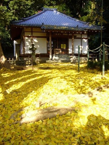 益山寺