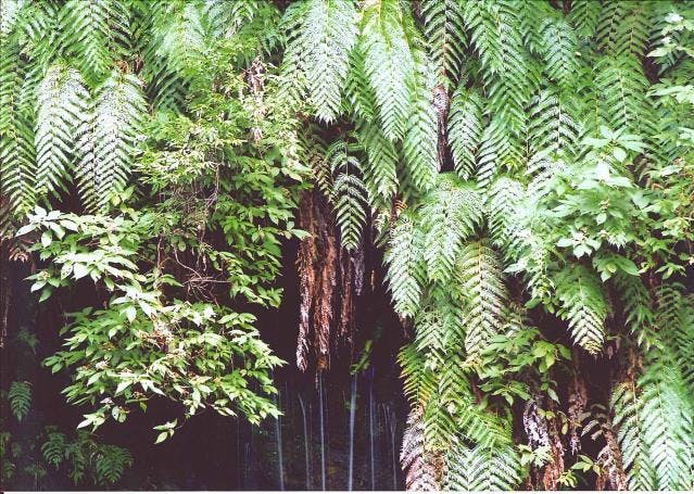 スポットの写真