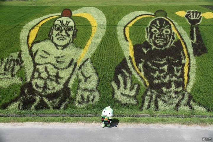 田んぼアート菊川「やぐら鑑賞」