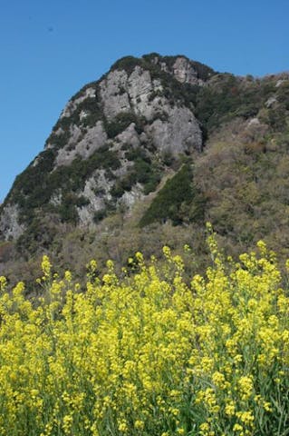 城山・三津ハイキングコース