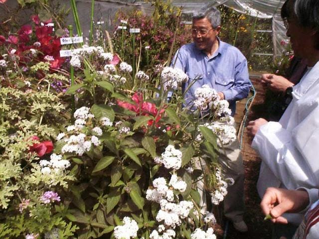 熱川ハーブテラス