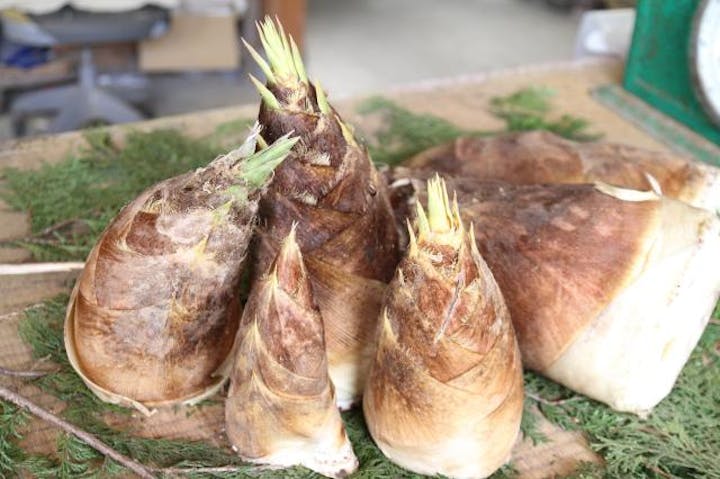 南伊豆町自然まつり