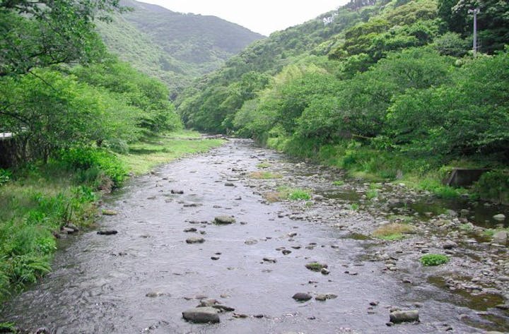 那賀川・岩科川