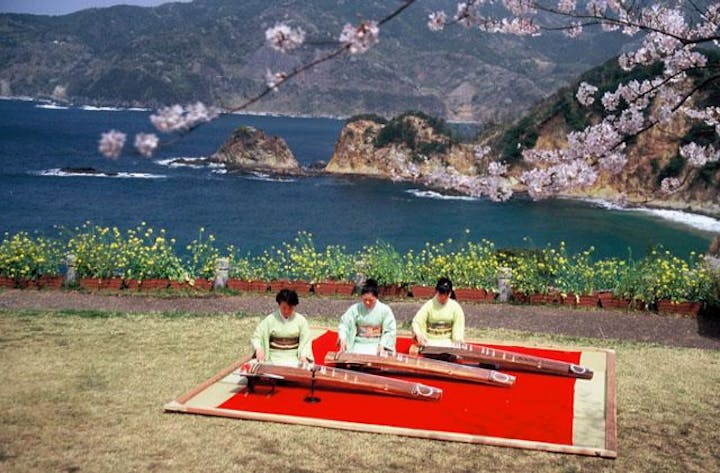 【未定】黄金崎さくらまつり