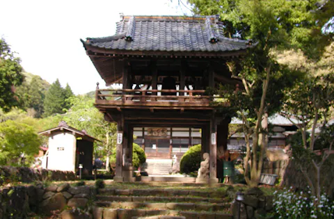 函南町立木立キャンプ場 アソビュー