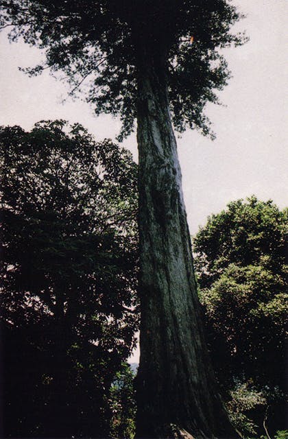 スポットの写真