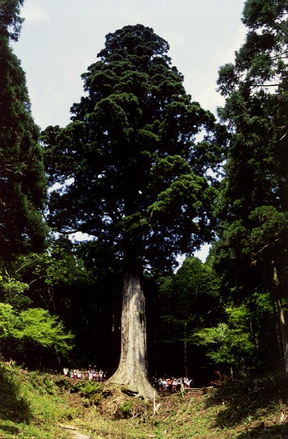 スポットの写真